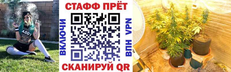 Наркотические вещества Кущёвская omg вход Конопля Меф мяу мяу Гашиш